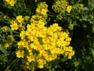 05mei