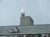 rondje-noord-18-1